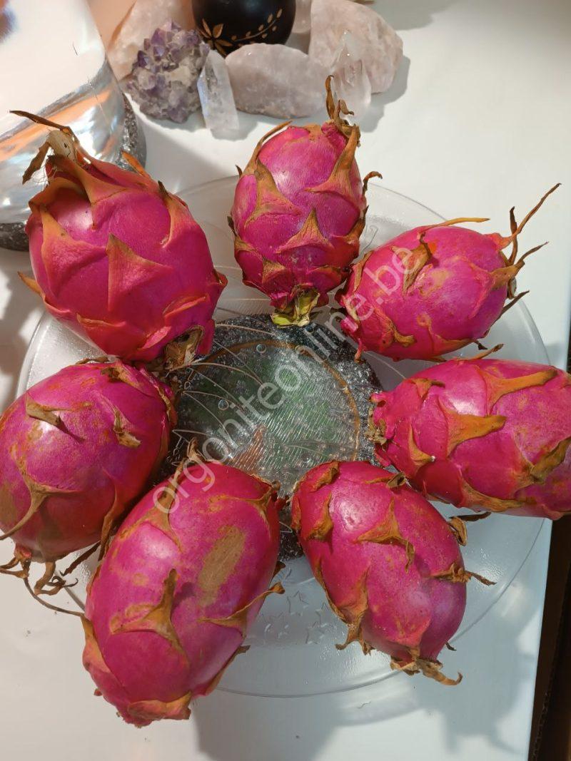 Revitalisierungsscheibe für Flüssigkeiten und Speisen. - Imagen 11