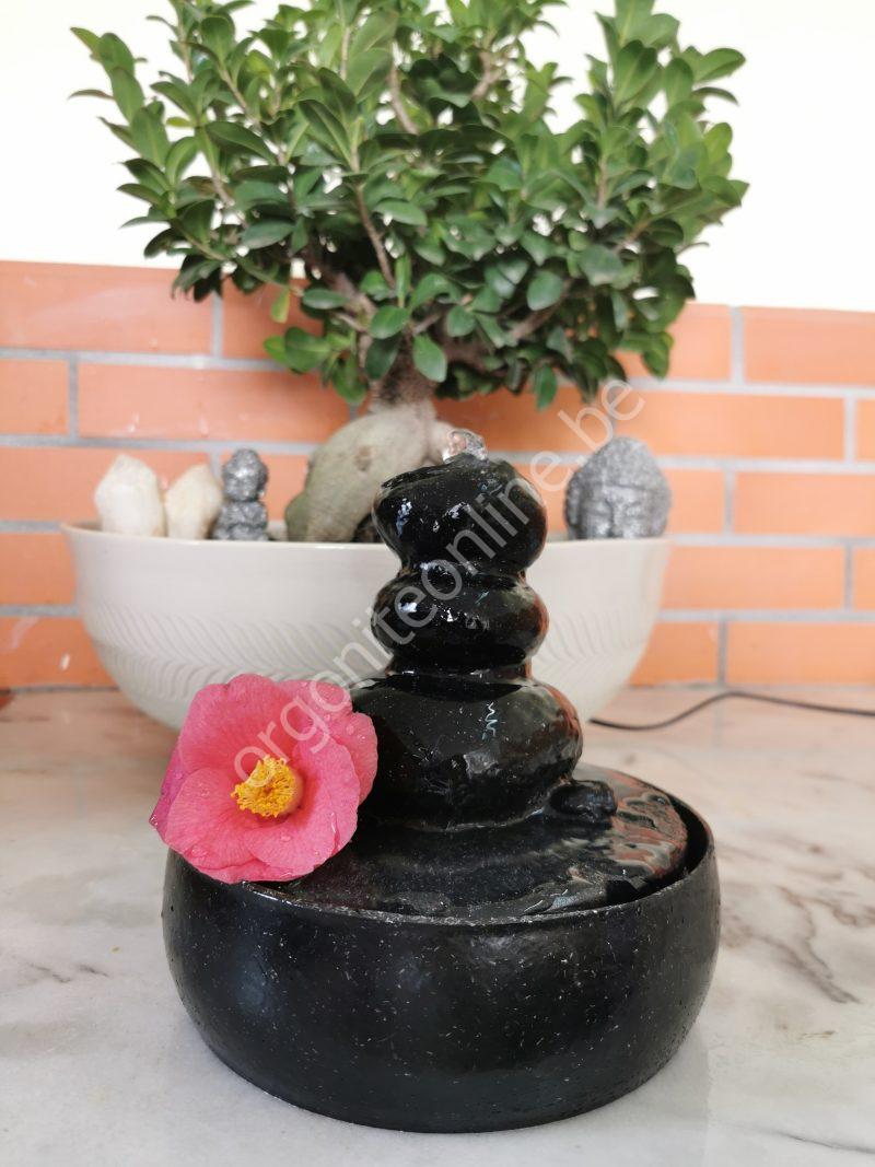 5G-Schutz für Wasserquellen - Imagen 2