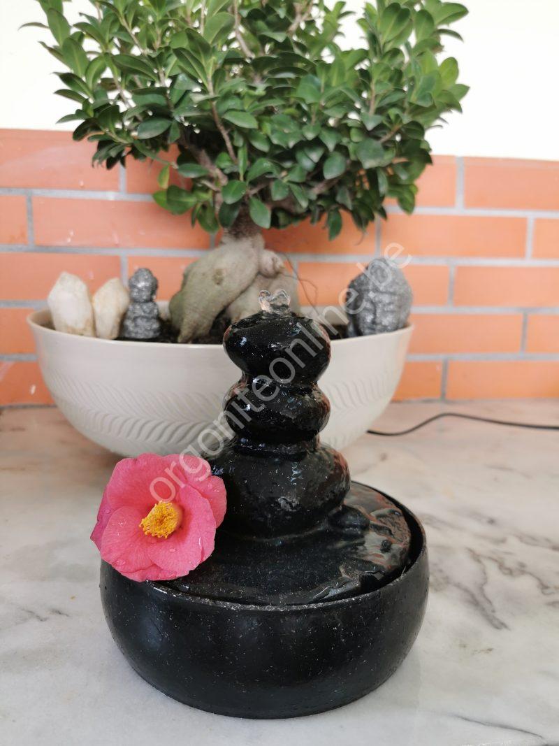 5G-Schutz für Wasserquellen - Imagen 4