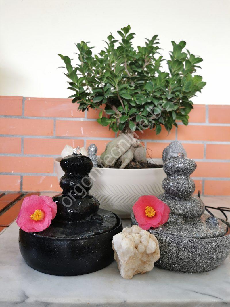 5G-Schutz für Wasserquellen - Imagen 6